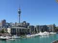 Sky Tower Viaduct landscape